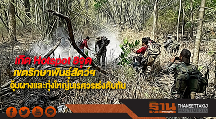 เกิด Hotspot 8จุดเขตรักษาพันธุ์สัตว์ฯอุ้มผางและทุ่งใหญ่นเรศวรเร่งดับทัน เกิด Hotspot 8จุดเขตรักษาพันธุ์สัตว์ฯอุ้มผางและทุ่งใหญ่นเรศวรเร่งดับทัน