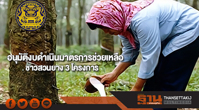 ครม.อนุมัติงบดำเนินมาตรการช่วยเหลือชาวสวนยาง 3 โครงการ ครม.อนุมัติงบดำเนินมาตรการช่วยเหลือชาวสวนยาง 3 โครงการ