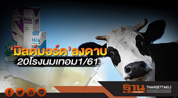 ‘มิลด์บอร์ด’ลงดาบ 20 โรงนมเทอม1/61 ‘มิลด์บอร์ด’ลงดาบ 20 โรงนมเทอม1/61