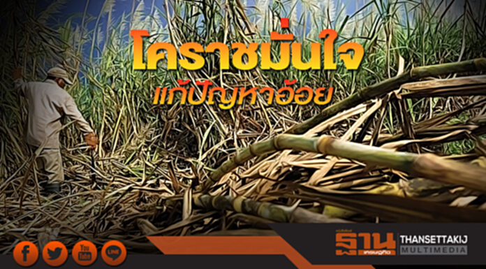 โคราชมั่นใจแก้ปัญหาอ้อย โรงงานซื้อไม่อั้นก่อนปิดหีบ โคราชมั่นใจแก้ปัญหาอ้อย โรงงานซื้อไม่อั้นก่อนปิดหีบ
