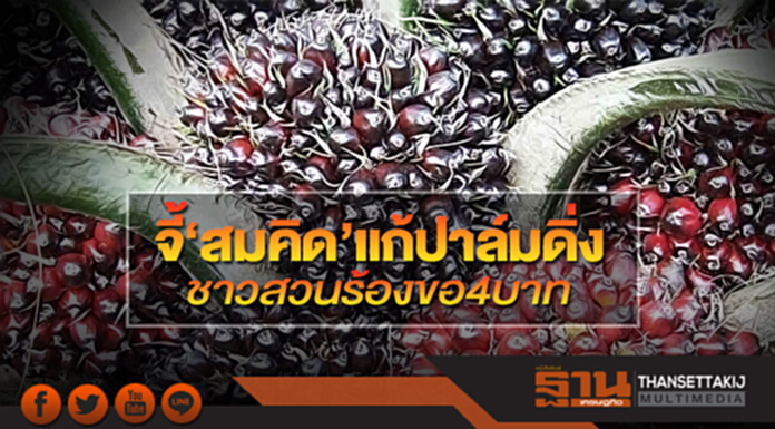 จี้‘สมคิด’แก้ปาล์มดิ่ง ชาวสวนร้องขอ4บาท จี้‘สมคิด’แก้ปาล์มดิ่ง ชาวสวนร้องขอ4บาท