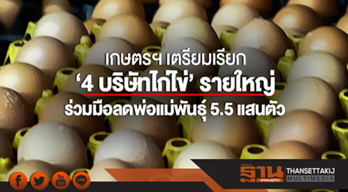 เกษตรฯ เตรียมเรียก '4 บริษัทไก่ไข่' รายใหญ่ ร่วมมือลดพ่อแม่พันธุ์ 5.5 แสนตัว เกษตรฯ เตรียมเรียก '4 บริษัทไก่ไข่' รายใหญ่ ร่วมมือลดพ่อแม่พันธุ์ 5.5 แสนตัว