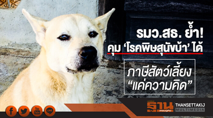 รมว.สธ. ย้ำ! คุม 'โรคพิษสุนัขบ้า' ได้ ระบุ ภาษีสัตว์เลี้ยง "แค่ความคิด" รมว.สธ. ย้ำ! คุม 'โรคพิษสุนัขบ้า' ได้ ระบุ ภาษีสัตว์เลี้ยง "แค่ความคิด"