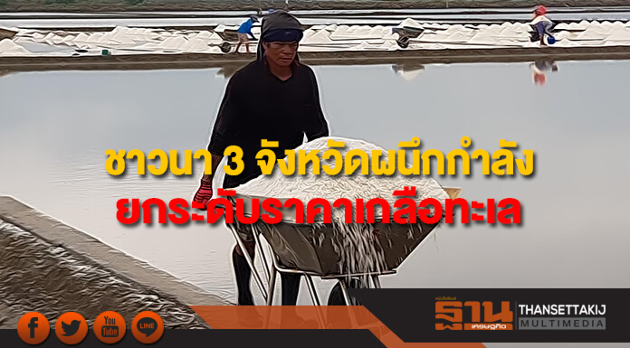 สหกรณ์ชาวนาเกลือ 3 จังหวัด จัดประมูลเกลือทะเลยกระดับราคา