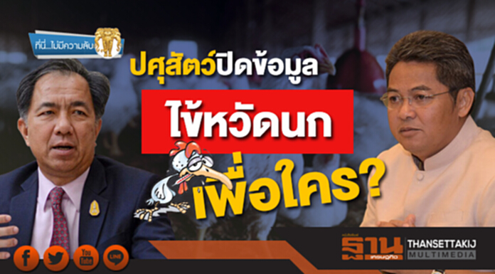 ที่นี่ไม่มีความลับ : ปศุสัตว์ปิดข้อมูลไข้หวัดนก เพื่อใคร? ที่นี่ไม่มีความลับ : ปศุสัตว์ปิดข้อมูลไข้หวัดนก เพื่อใคร?