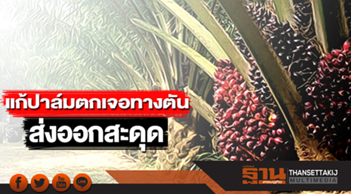 แก้ปาล์มตกเจอทางตันส่งออกสะดุด แก้ปาล์มตกเจอทางตันส่งออกสะดุด