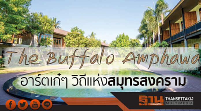 The Buffalo Amphawa อาร์ตเก๋ๆ วิถีแห่งสมุทรสงคราม The Buffalo Amphawa อาร์ตเก๋ๆ วิถีแห่งสมุทรสงคราม