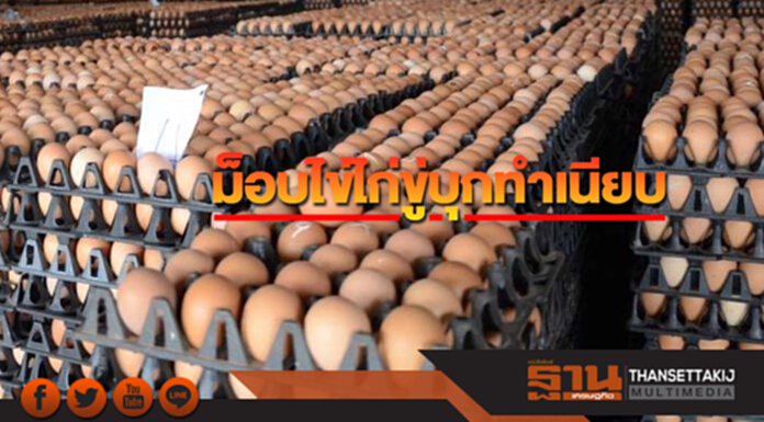 ม็อบไข่ไก่ขู่บุกทำเนียบ ขีดเส้นหลังสงกรานต์ต้อง3บาทต่อฟอง ม็อบไข่ไก่ขู่บุกทำเนียบ ขีดเส้นหลังสงกรานต์ต้อง3บาทต่อฟอง