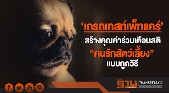 'เกรทเทสท์เพ็ทแคร์' สร้างคุณค่าร่วมเตือนสติ "คนรักสัตว์เลี้ยง" แบบถูกวิธี 'เกรทเทสท์เพ็ทแคร์' สร้างคุณค่าร่วมเตือนสติ "คนรักสัตว์เลี้ยง" แบบถูกวิธี