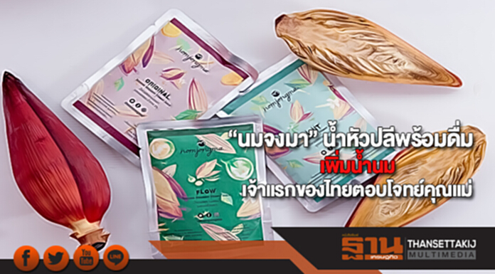“นมจงมา” น้ำหัวปลีพร้อมดื่มเพิ่มน้ำนมเจ้าแรกของไทยตอบโจทย์คุณแม่ “นมจงมา” น้ำหัวปลีพร้อมดื่มเพิ่มน้ำนมเจ้าแรกของไทยตอบโจทย์คุณแม่