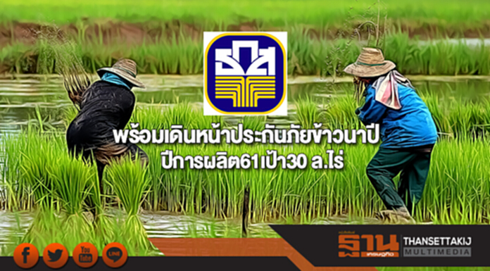 ธ.ก.ส.พร้อมเดินหน้าประกันภัยข้าวนาปี ปีการผลิต61เป้า30 ล.ไร่ ธ.ก.ส.พร้อมเดินหน้าประกันภัยข้าวนาปี ปีการผลิต61เป้า30 ล.ไร่
