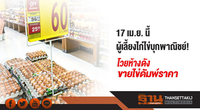17 เม.ย. นี้ ผู้เลี้ยงไก่ไข่บุกพาณิชย์! โวยห้างดังขายไข่ดัมพ์ราคา 17 เม.ย. นี้ ผู้เลี้ยงไก่ไข่บุกพาณิชย์! โวยห้างดังขายไข่ดัมพ์ราคา