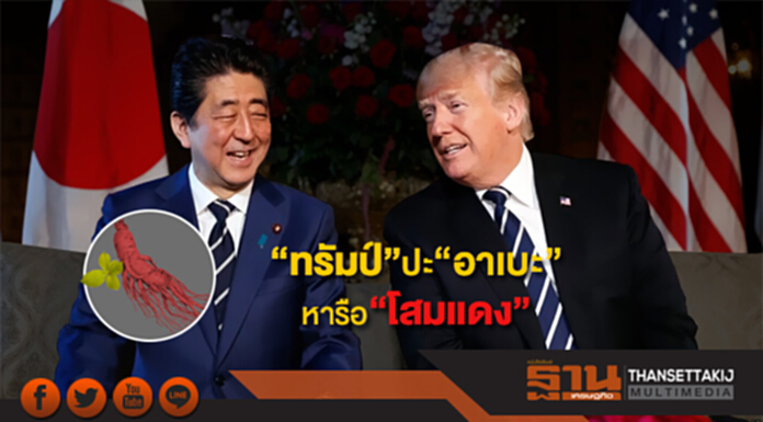 'ทรัมป์' พบผู้นำญี่ปุ่น หารือวาระ “โสมเเดง” อ้าง “พร้อมเจอคิมทุกเมื่อ” 'ทรัมป์' พบผู้นำญี่ปุ่น หารือวาระ “โสมเเดง” อ้าง “พร้อมเจอคิมทุกเมื่อ”