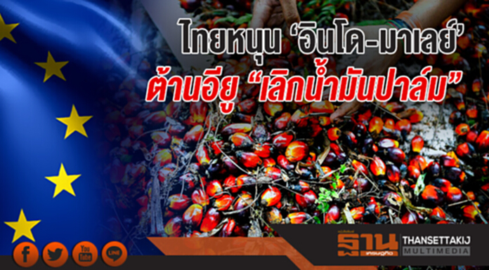 ไทยหนุน 'อินโด-มาเลย์' ต้านอียู "เลิกน้ำมันปาล์ม" ไทยหนุน 'อินโด-มาเลย์' ต้านอียู "เลิกน้ำมันปาล์ม"