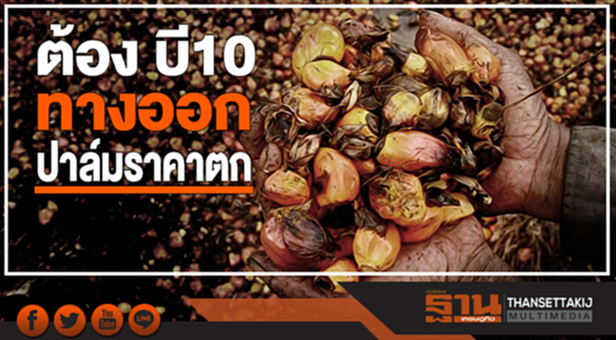 สมาคมผู้ผลิตไบโอดีเซล ดัน บี10 แก้ปัญหาปาล์มราคาตก สมาคมผู้ผลิตไบโอดีเซล ดัน บี10 แก้ปัญหาปาล์มราคาตก