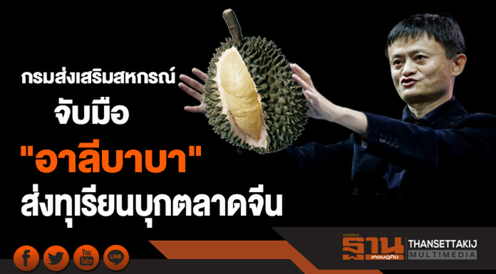 กรมส่งเสริมสหกรณ์ จับมือ "อาลีบาบา" ส่งทุเรียนบุกตลาดจีน