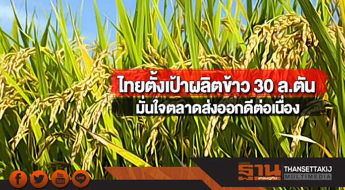 ไทยตั้งเป้าผลิตข้าว 30 ล้านตัน มั่นใจตลาดส่งออกดีต่อเนื่อง ไทยตั้งเป้าผลิตข้าว 30 ล้านตัน มั่นใจตลาดส่งออกดีต่อเนื่อง