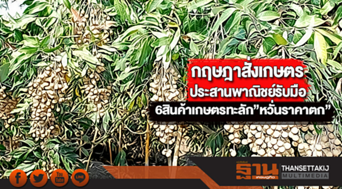 กฤษฎาสั่งเกษตรประสานพาณิชย์รับมือ6สินค้าเกษตรทะลัก”หวั่นราคาตก” กฤษฎาสั่งเกษตรประสานพาณิชย์รับมือ6สินค้าเกษตรทะลัก”หวั่นราคาตก”
