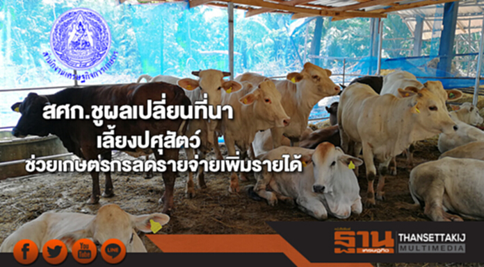 สศก.เผยผลเปลี่ยนที่นาเลี้ยงปศุสัตว์ช่วยเกษตรกรลดรายจ่ายสร้างรายได้เพิ่ม สศก.เผยผลเปลี่ยนที่นาเลี้ยงปศุสัตว์ช่วยเกษตรกรลดรายจ่ายสร้างรายได้เพิ่ม