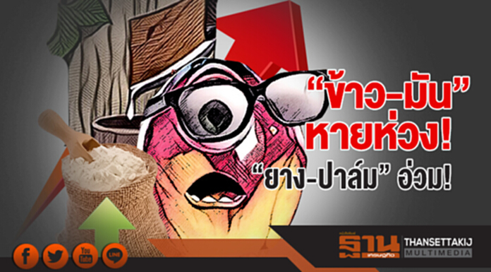 "ข้าว-มัน" หายห่วง! "ยาง-ปาล์ม" อ่วม! "ข้าว-มัน" หายห่วง! "ยาง-ปาล์ม" อ่วม!