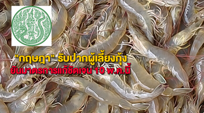 "กฤษฎา" รับปากผู้เลี้ยงกุ้งยันมาตรการแก้ชัดเจน 10 พ.ค.นี้ "กฤษฎา" รับปากผู้เลี้ยงกุ้งยันมาตรการแก้ชัดเจน 10 พ.ค.นี้