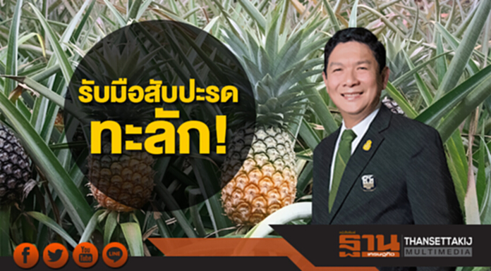 "ลักษณ์" สั่งรับมือสับปะรดทะลัก พ.ค.-มิ.ย.นี้ "ลักษณ์" สั่งรับมือสับปะรดทะลัก พ.ค.-มิ.ย.นี้