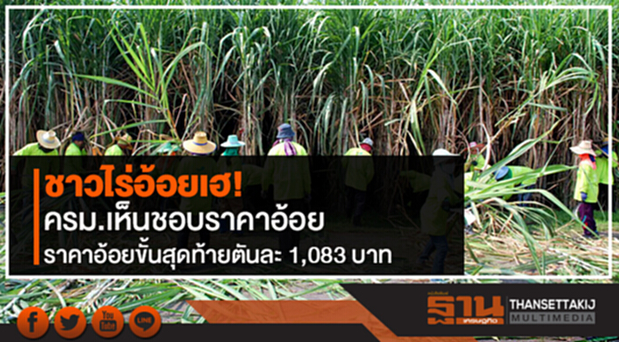 ชาวไร่อ้อยเฮ! ครม.เห็นชอบราคาอ้อยขั้นสุดท้ายตันละ 1,083 บาท ชาวไร่อ้อยเฮ! ครม.เห็นชอบราคาอ้อยขั้นสุดท้ายตันละ 1,083 บาท