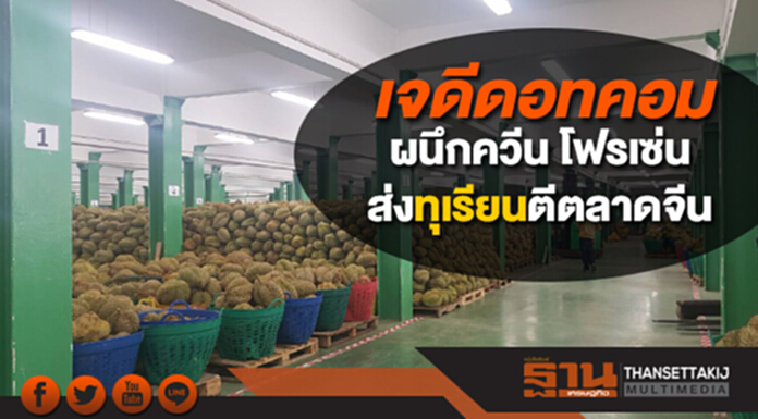 เจดีดอทคอมผนึกควีน โฟรเซ่นส่งทุเรียนตีตลาดจีน เจดีดอทคอมผนึกควีน โฟรเซ่นส่งทุเรียนตีตลาดจีน
