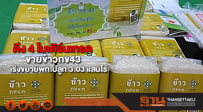 ดึง 4 โมเดิร์นเทรดขายข้าว กข43 ดึง 4 โมเดิร์นเทรดขายข้าว กข43