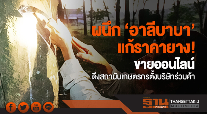 ผนึก 'อาลีบาบา' แก้ราคายาง! ขายออนไลน์ดึงสถาบันเกษตรกรตั้งบริษัทร่วมค้า