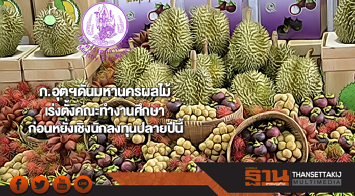 ก.อุตฯดันมหานครผลไม้เร่งตั้งคณะทำงานศึกษาก่อนหยั่งเชิงนักลงทุนปลายปีนี้ ก.อุตฯดันมหานครผลไม้เร่งตั้งคณะทำงานศึกษาก่อนหยั่งเชิงนักลงทุนปลายปีนี้