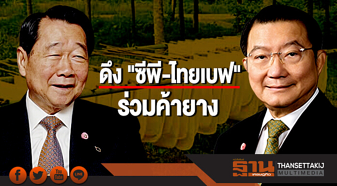 ดึง "ซีพี-ไทยเบฟ" ร่วมค้ายาง กยท.ดอดเจรจาลับหลังปิดดีลบริษัทร่วมทุน 5 เสือ ดึง "ซีพี-ไทยเบฟ" ร่วมค้ายาง กยท.ดอดเจรจาลับหลังปิดดีลบริษัทร่วมทุน 5 เสือ