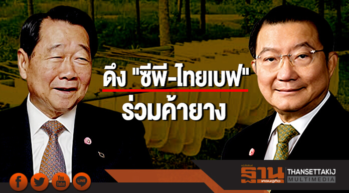 ดึง "ซีพี-ไทยเบฟ" ร่วมค้ายาง กยท.ดอดเจรจาลับหลังปิดดีลบริษัทร่วมทุน 5 เสือ