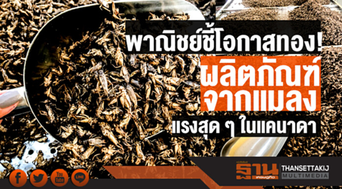 พาณิชย์ชี้โอกาสทอง! "ผลิตภัณฑ์จากแมลง" แรงสุด ๆ ในแคนาดา พาณิชย์ชี้โอกาสทอง! "ผลิตภัณฑ์จากแมลง" แรงสุด ๆ ในแคนาดา