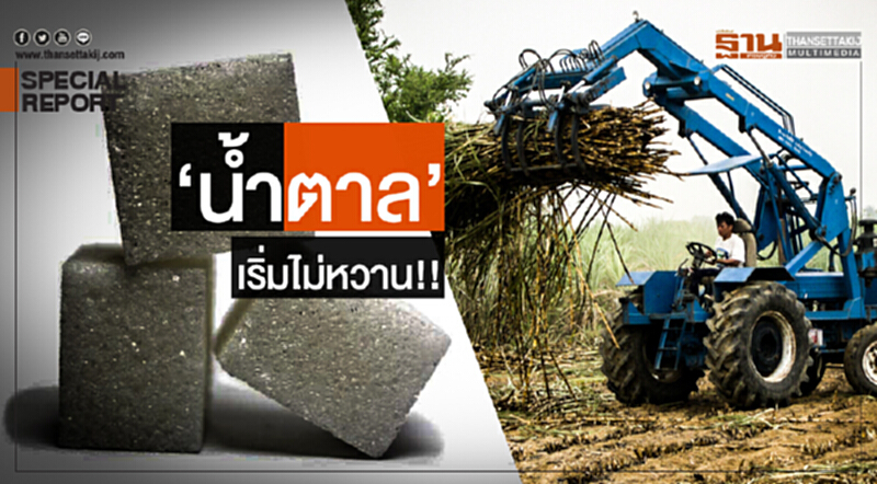 'น้ำตาล' เริ่มไม่หวาน!! 'น้ำตาล' เริ่มไม่หวาน!!