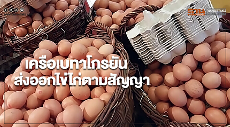 เครือเบทาโกรยันส่งออกไข่ไก่ตามสัญญา เครือเบทาโกรยันส่งออกไข่ไก่ตามสัญญา