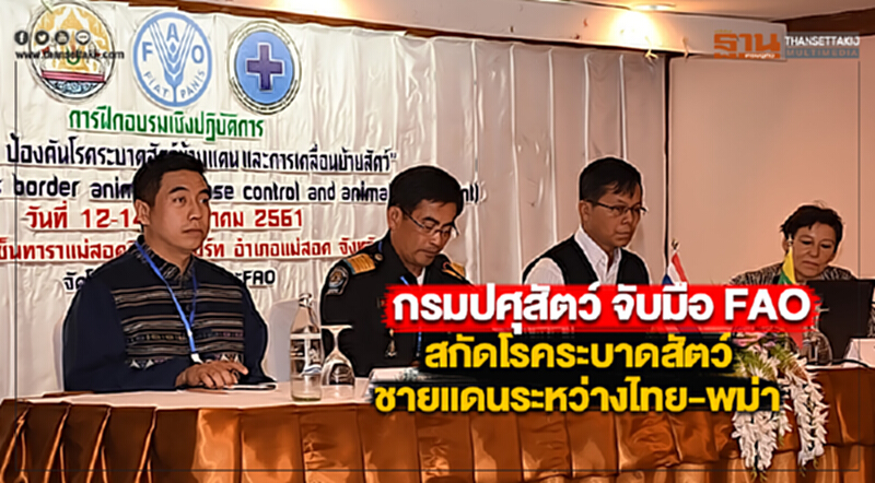 กรมปศุสัตว์ จับมือ FAO สกัดโรคระบาดสัตว์ชายแดนระหว่างไทย-พม่า กรมปศุสัตว์ จับมือ FAO สกัดโรคระบาดสัตว์ชายแดนระหว่างไทย-พม่า