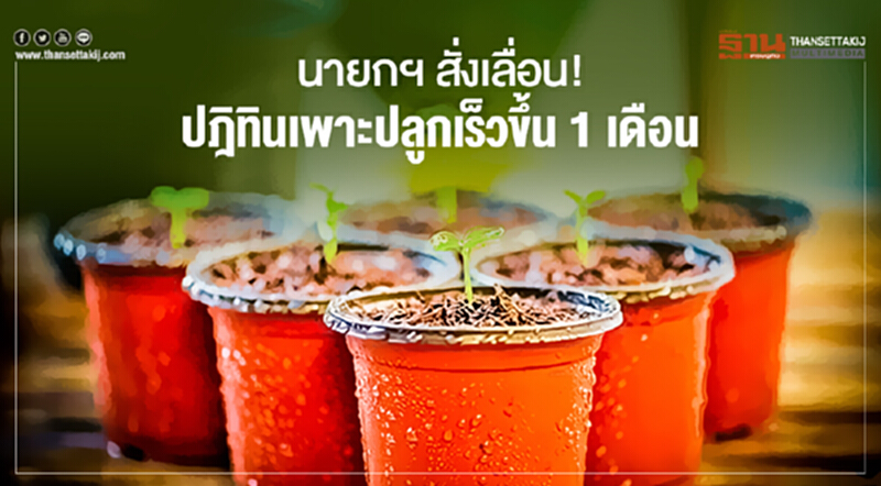 นายกฯ สั่งเลื่อน! ปฎิทินเพาะปลูกเร็วขึ้น 1 เดือน นายกฯ สั่งเลื่อน! ปฎิทินเพาะปลูกเร็วขึ้น 1 เดือน