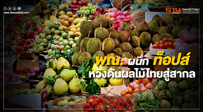 พณ. ผนึก ท็อปส์ จัดงาน “Thailand’s Amazing Durian and Fruit Fest 2018” หวังดันไทยเป็นชาติมหาอํานาจด้านผลไม้เมืองร้อน พณ. ผนึก ท็อปส์ จัดงาน “Thailand’s Amazing Durian and Fruit Fest 2018” หวังดันไทยเป็นชาติมหาอํานาจด้านผลไม้เมืองร้อน