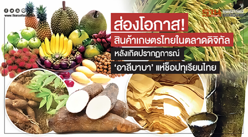 ส่องโอกาส! สินค้าเกษตรไทยในตลาดดิจิทัล หลังเกิดปรากฏการณ์ 'อาลีบาบา' แห่ช็อปทุเรียนไทย ส่องโอกาส! สินค้าเกษตรไทยในตลาดดิจิทัล หลังเกิดปรากฏการณ์ 'อาลีบาบา' แห่ช็อปทุเรียนไทย