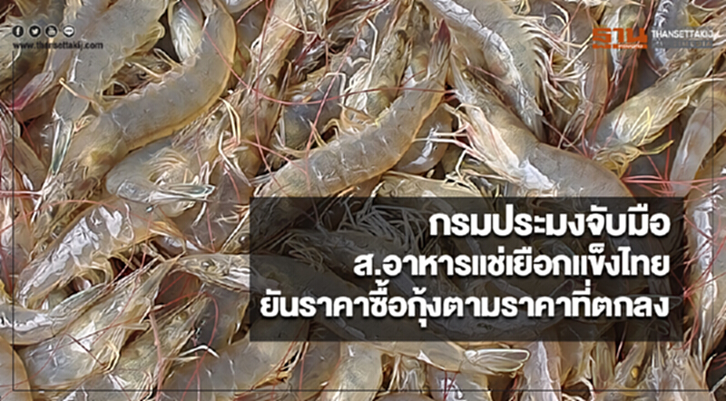 กรมประมงจับมือส.อาหารแช่เยือกแข็งไทยยันราคาซื้อกุ้งตามราคาที่ตกลง กรมประมงจับมือส.อาหารแช่เยือกแข็งไทยยันราคาซื้อกุ้งตามราคาที่ตกลง
