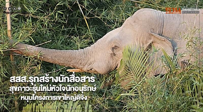 สสส.รุกสร้างนักสื่อสารสุขภาวะรุ่นใหม่หัวใจนักอนุรักษ์หนุนโครงการเขาใหญ่ดีจัง สสส.รุกสร้างนักสื่อสารสุขภาวะรุ่นใหม่หัวใจนักอนุรักษ์หนุนโครงการเขาใหญ่ดีจัง
