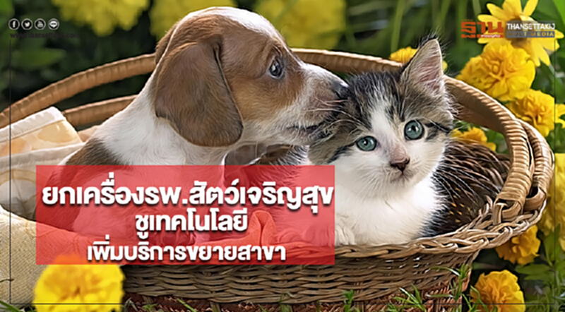 ยกเครื่องรพ.สัตว์เจริญสุข ชูเทคโนโลยีเพิ่มบริการขยายสาขาไซซ์เล็ก ยกเครื่องรพ.สัตว์เจริญสุข ชูเทคโนโลยีเพิ่มบริการขยายสาขาไซซ์เล็ก