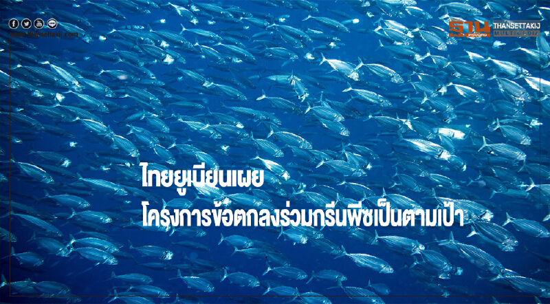 ไทยยูเนียนเผยโครงการข้อตกลงร่วมกรีนพีซเป็นตามเป้า