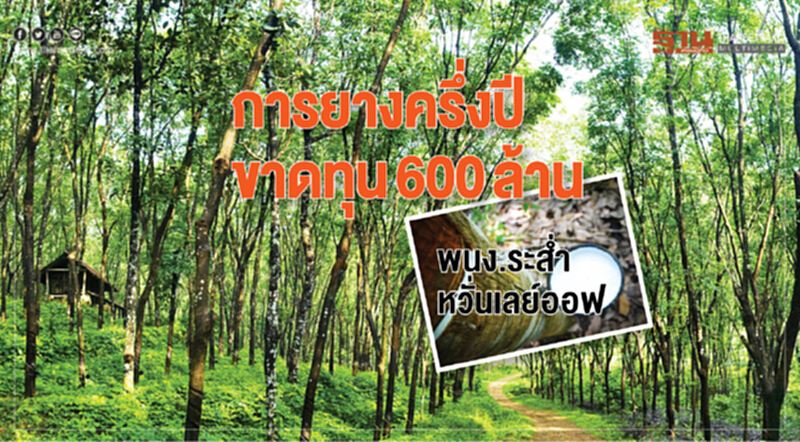 การยางครึ่งปี ขาดทุน600ล้าน พนักงานระสํ่าหวั่นเลย์ออฟ การยางครึ่งปี ขาดทุน600ล้าน พนักงานระสํ่าหวั่นเลย์ออฟ