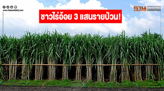 ชาวไร่อ้อย 3 แสนรายป่วน! 31 พ.ค. ตบเท้าบุกศาลากลางกระทุ้งรัฐแก้ปัญหา ชาวไร่อ้อย 3 แสนรายป่วน! 31 พ.ค. ตบเท้าบุกศาลากลางกระทุ้งรัฐแก้ปัญหา
