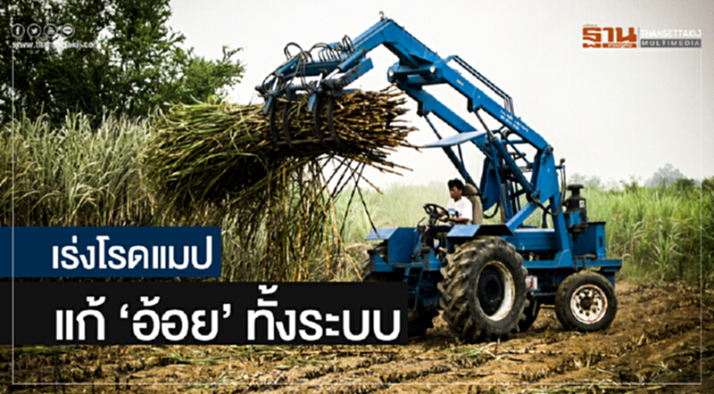 รัฐตอบกระทู้ สนช. ยัน! เร่งโรดแมปแก้ 'อ้อย' ทั้งระบบ รัฐตอบกระทู้ สนช. ยัน! เร่งโรดแมปแก้ 'อ้อย' ทั้งระบบ
