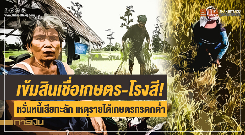 เข้มสินเชื่อเกษตร-โรงสี! หวั่นหนี้เสียทะลัก เหตุรายได้เกษตรกรตกต่ำ