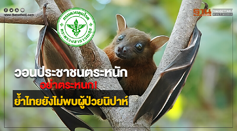 กรมควบคุมโรควอนประชาชนตระหนักอย่าตระหนกย้ำไทยยังไม่พบผู้ป่วยนิปาห์