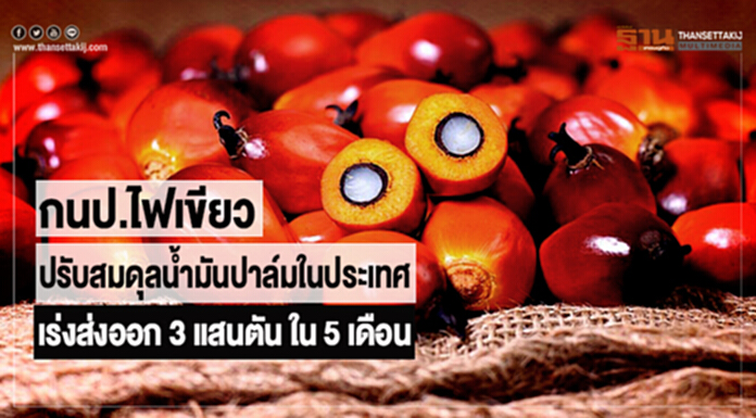 กนป.ไฟเขียวปรับสมดุลน้ำมันปาล์มในประเทศ เร่งส่งออก 3 แสนตัน ใน 5 เดือน กนป.ไฟเขียวปรับสมดุลน้ำมันปาล์มในประเทศ เร่งส่งออก 3 แสนตัน ใน 5 เดือน